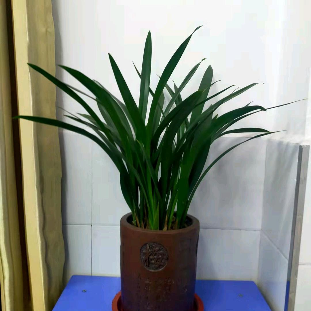 平