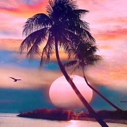 贵池区汤记酒店