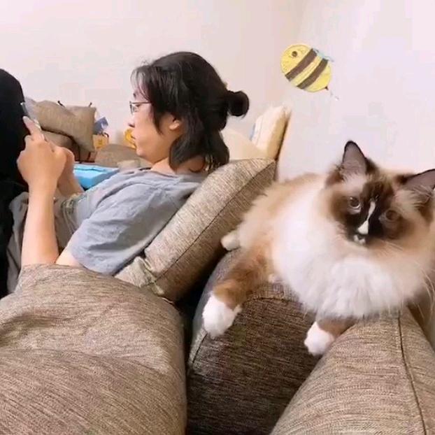 婚纱马老板