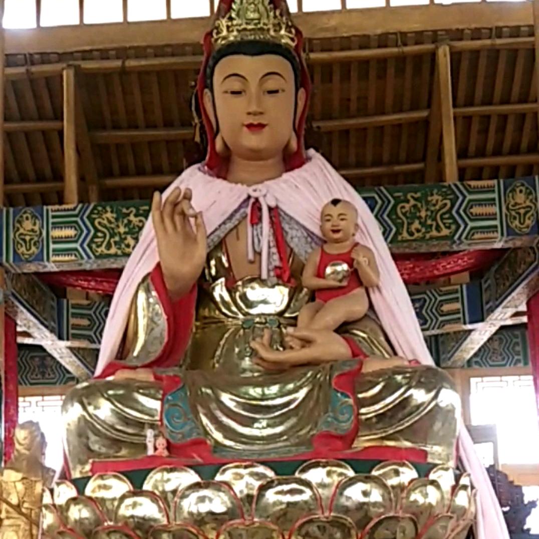 慈悲静莲