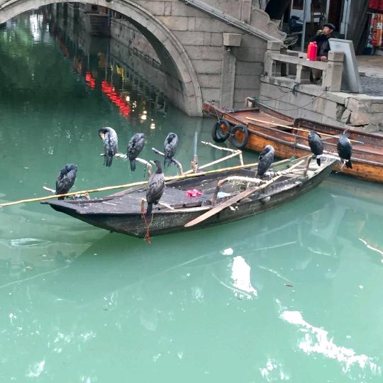 绿水长流