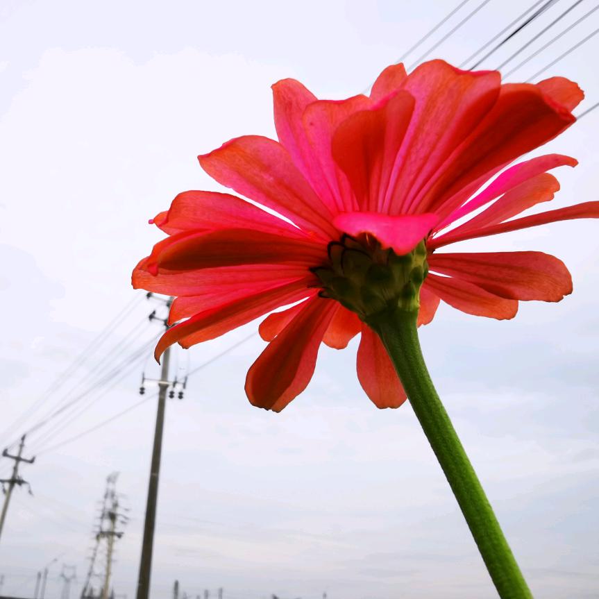 我没你帅也没你漂亮