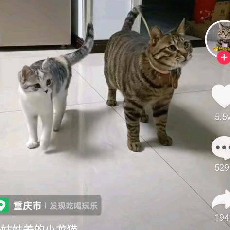 上岸洗澡鱼