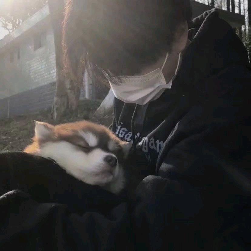 不要要
