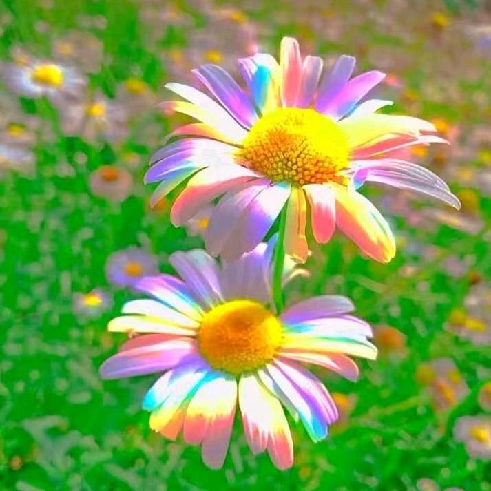 艳阳天6106491136914