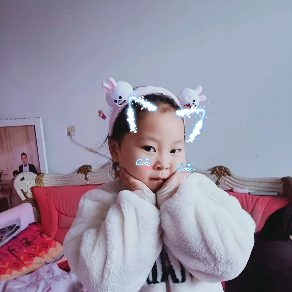 毛毛