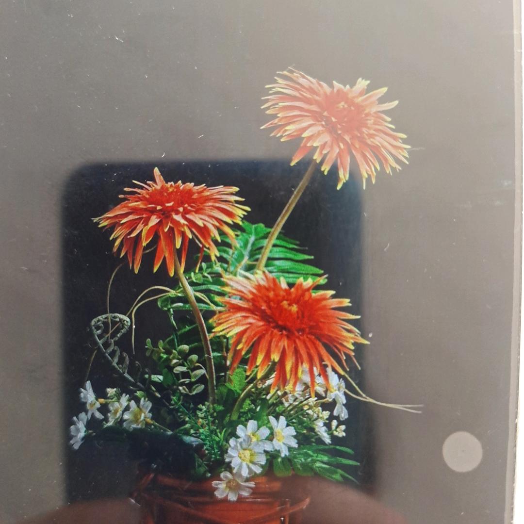 珍惜当下