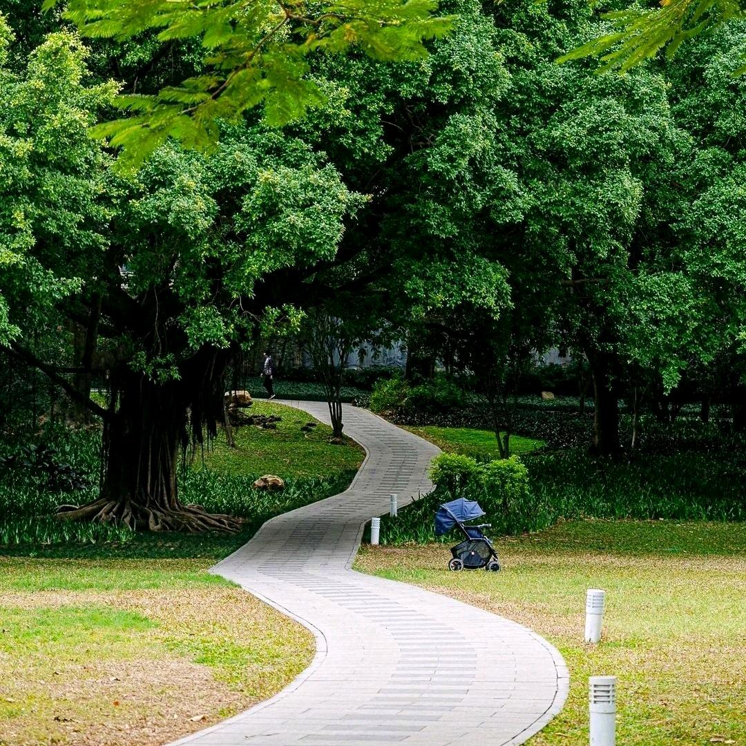 临怡