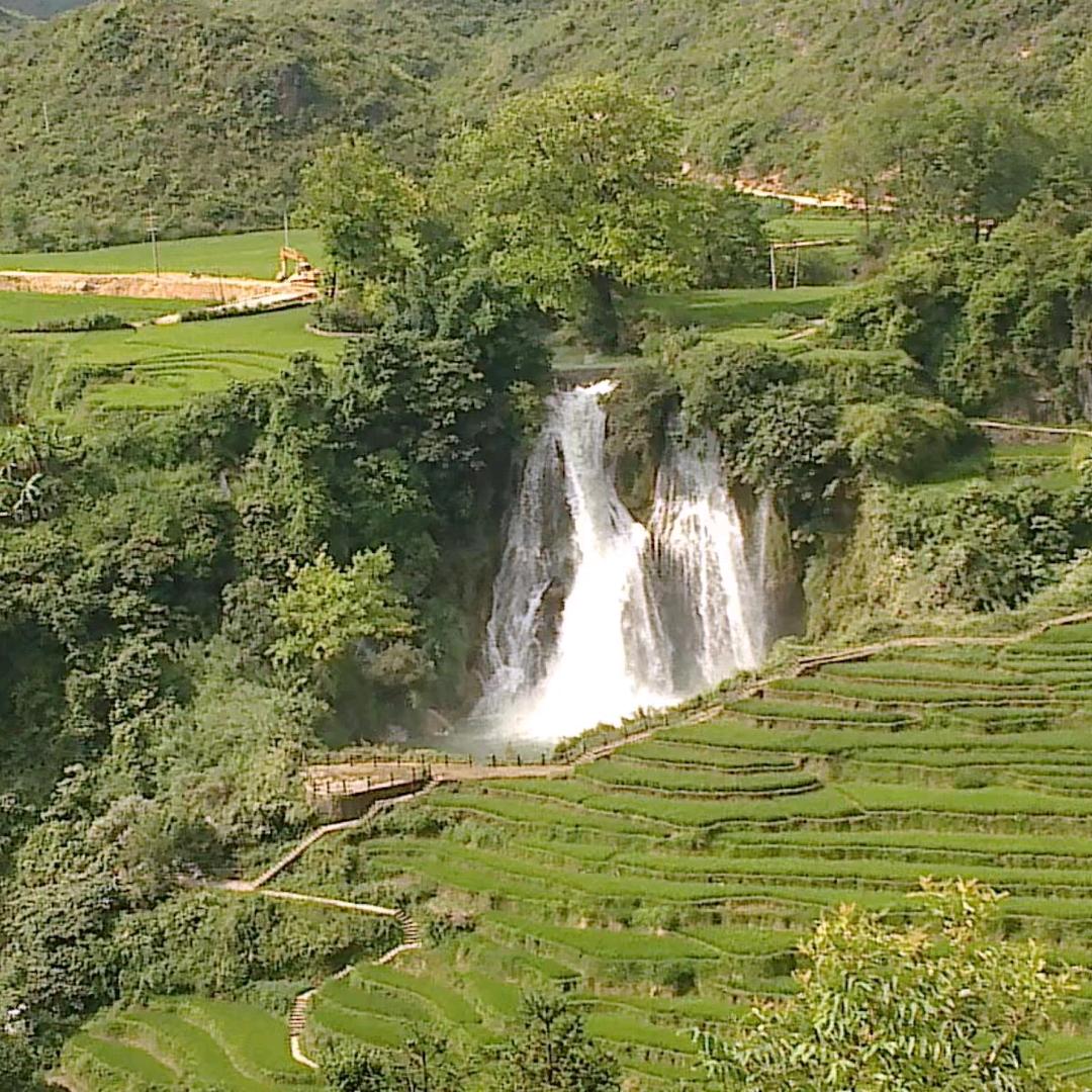 钓鱼佬加炒股费柴