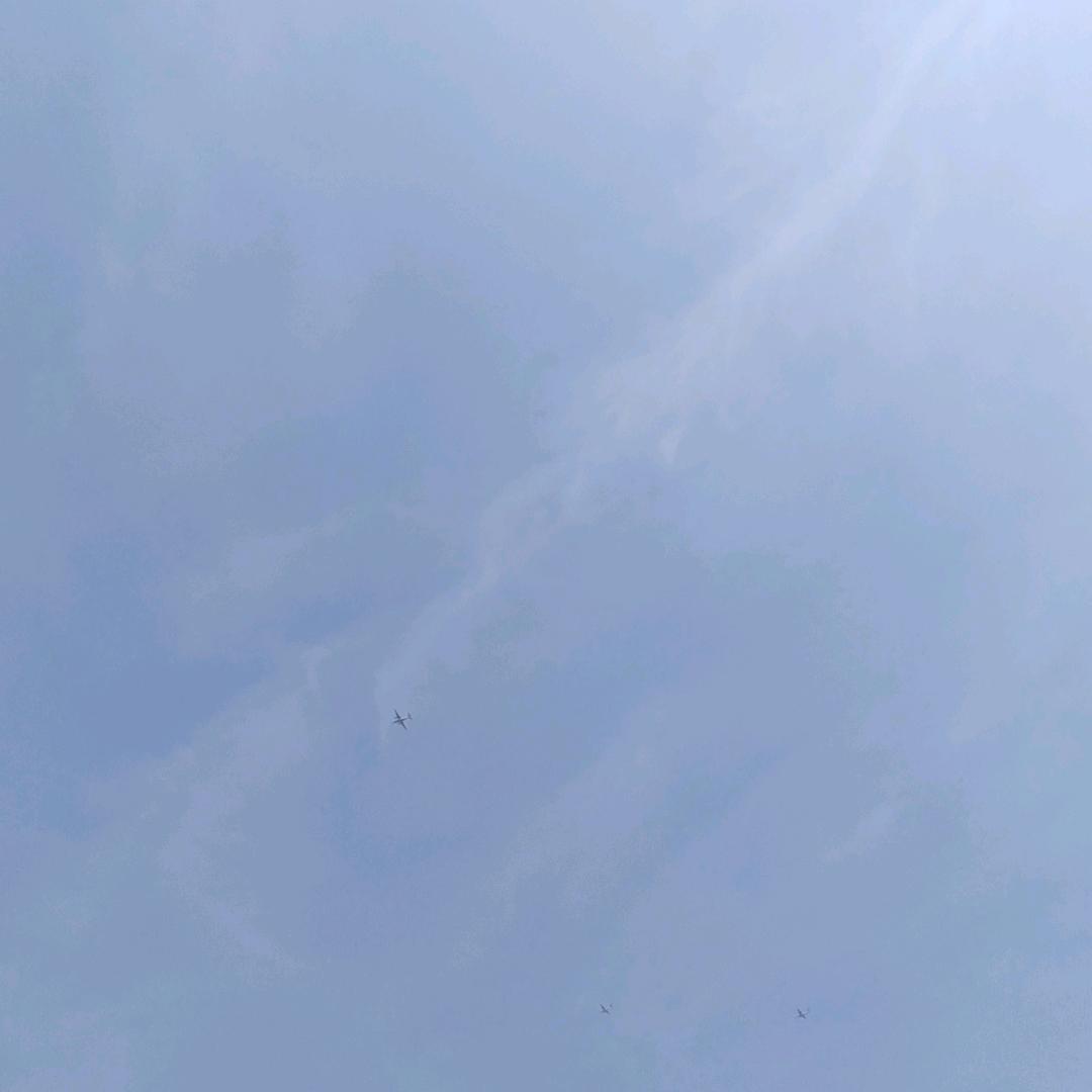 呦喂✔