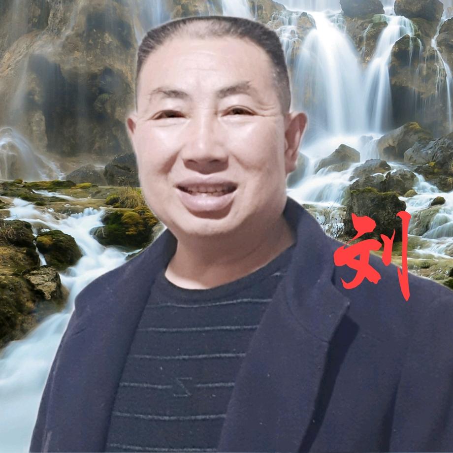 快乐刘哥