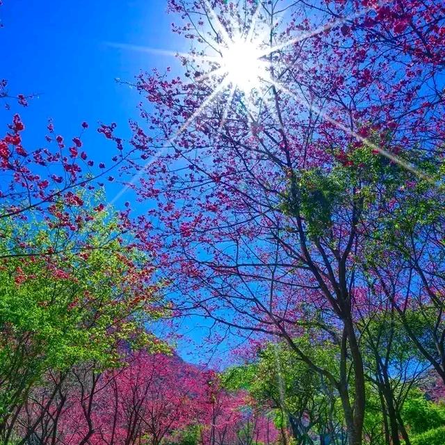梦想星空