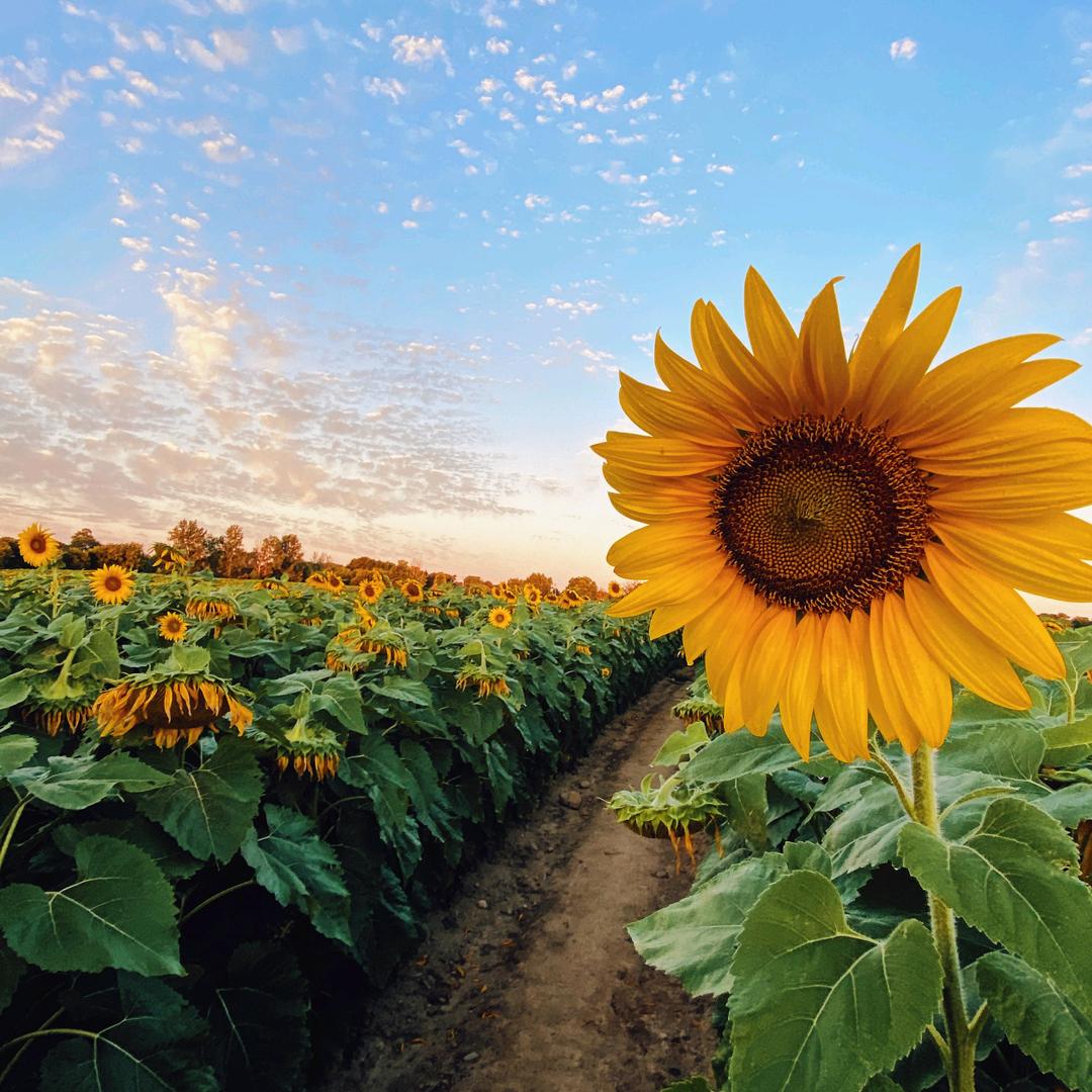 用户3176876781790，平平淡淡