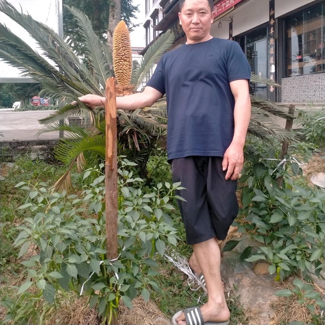 且行，且珍惜