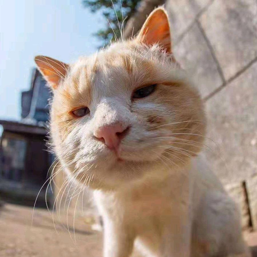 与子同袍.