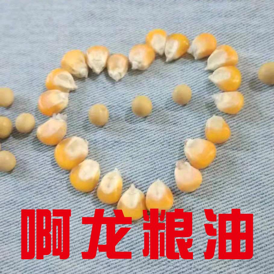 嫩江市粮食粮食