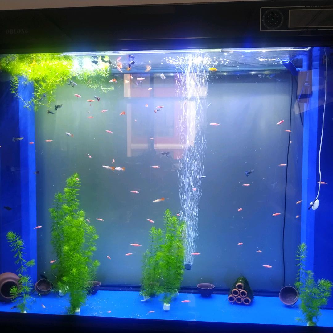 执着的执着