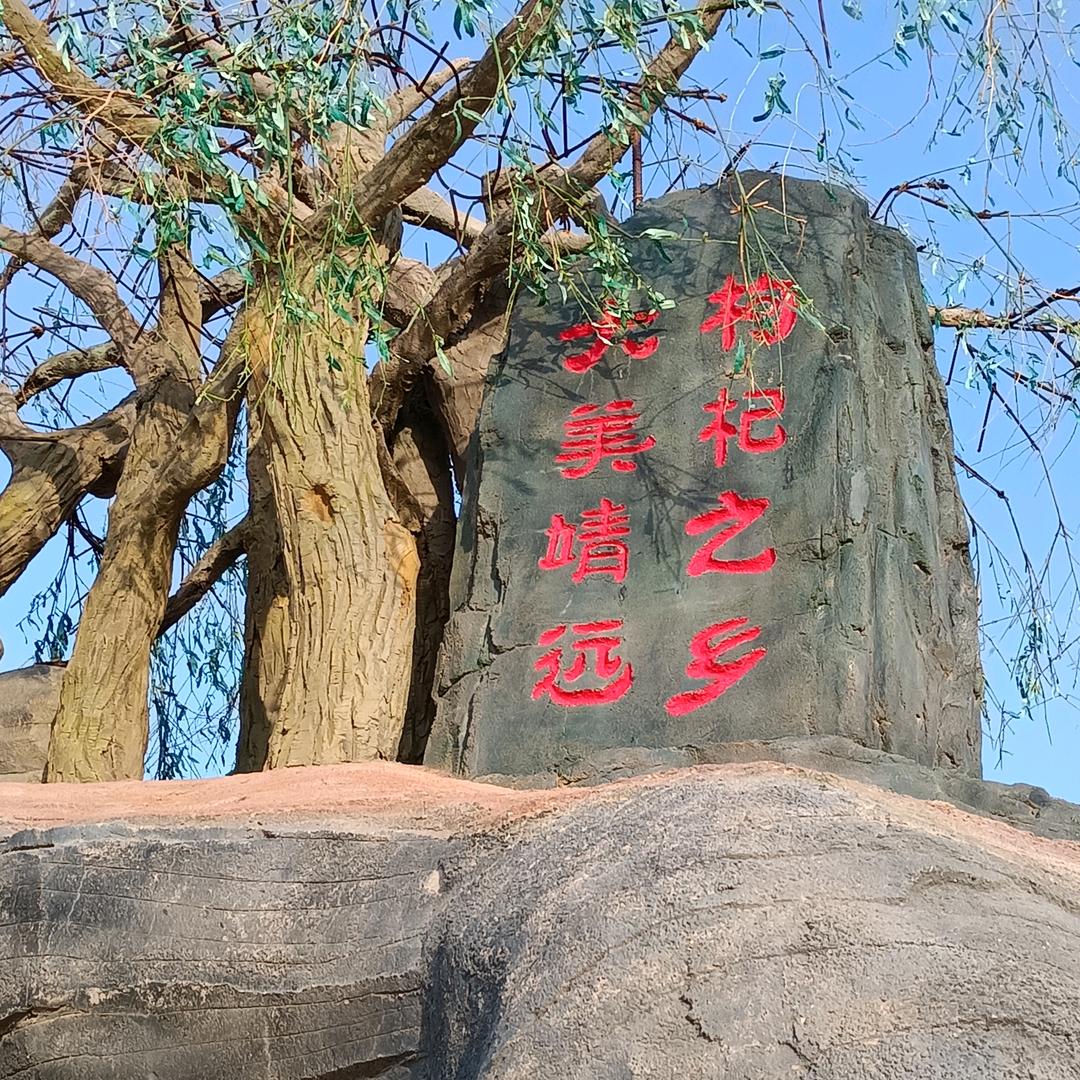 五合圆通速递   枸杞种植户