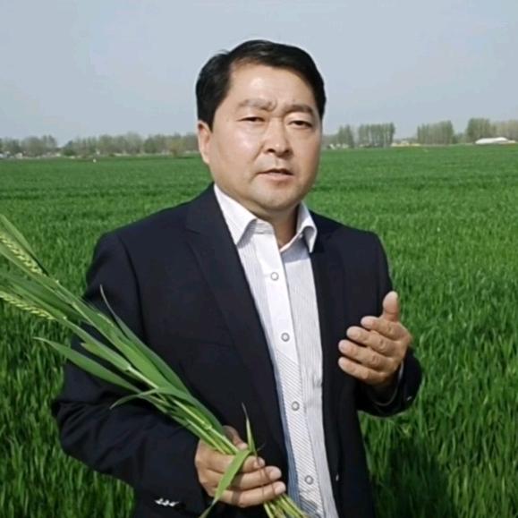 赵站聊农业