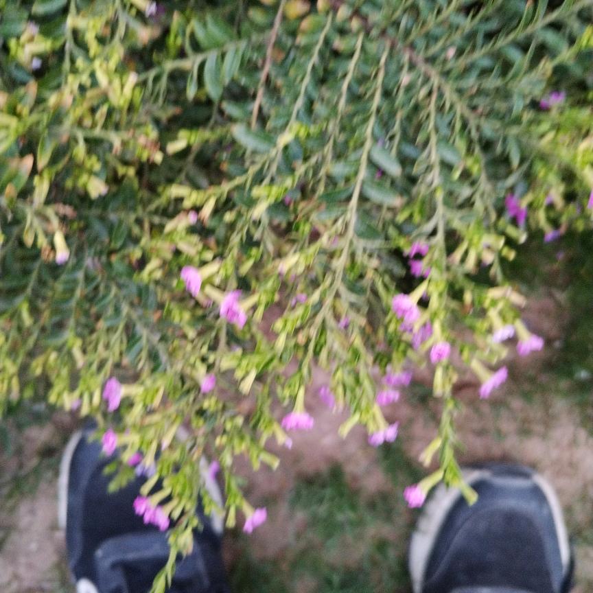 缘分
