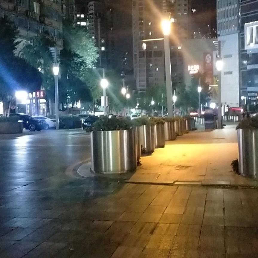 奔跑的斑马。