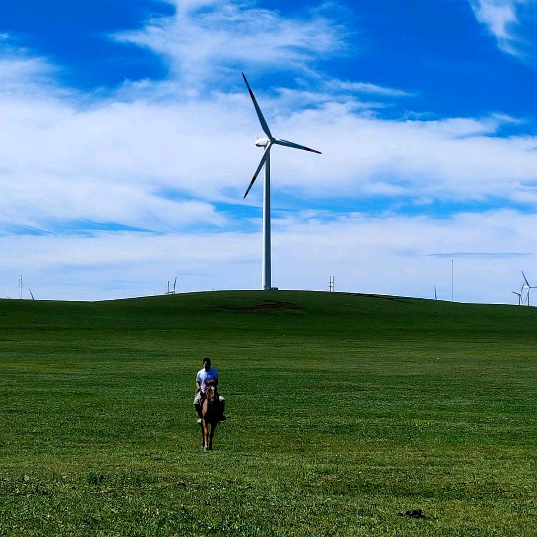 这个世界也有我