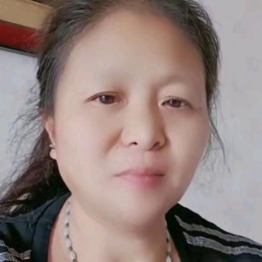 枯叶蝶DYH
