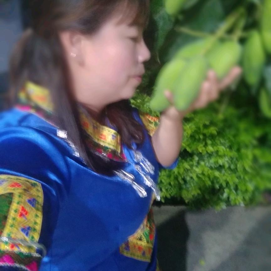 东川张梅正能量主播。