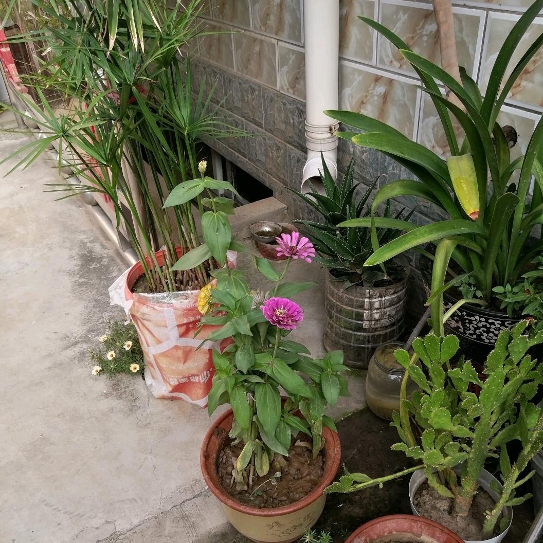 小勾机