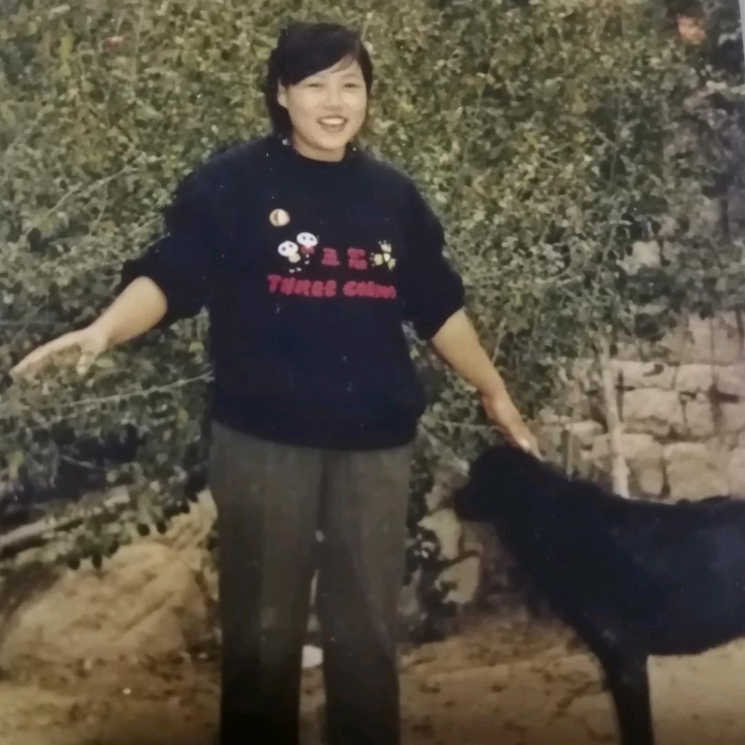 李姐的开心每一天