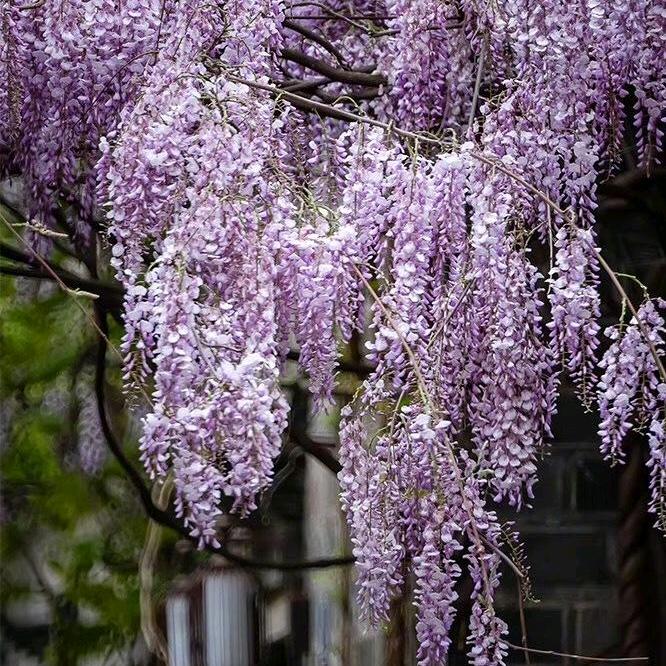 我还是