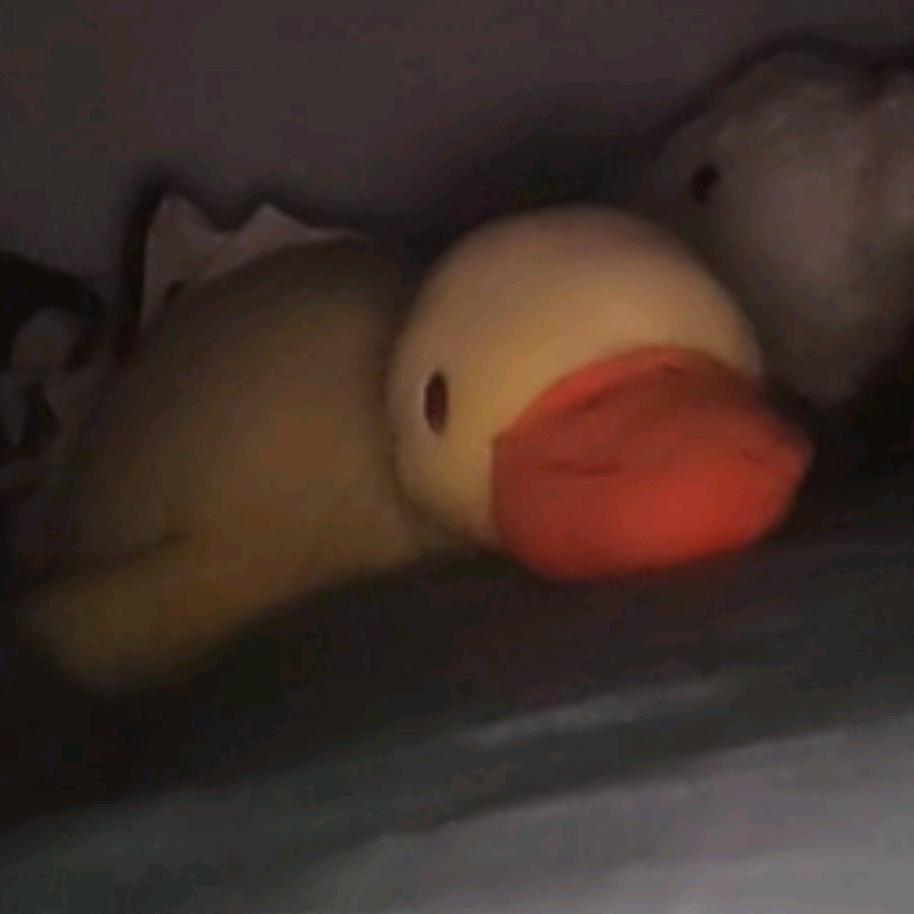 一只可爱的小黄鸭