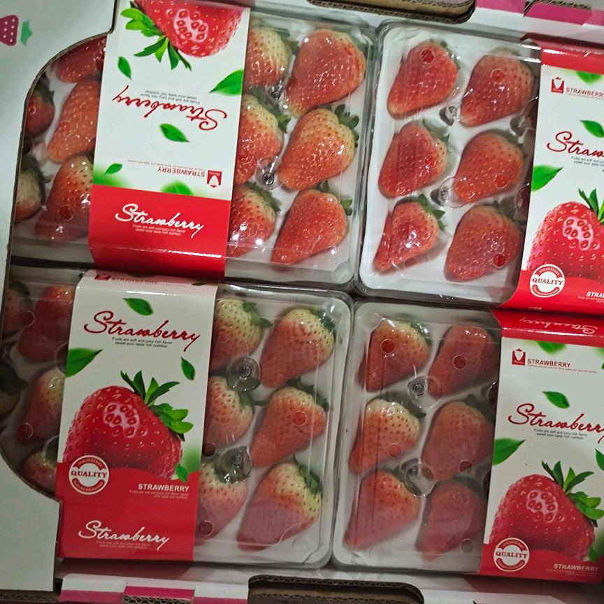 a万亩草莓购销甄选分拣中心——徐