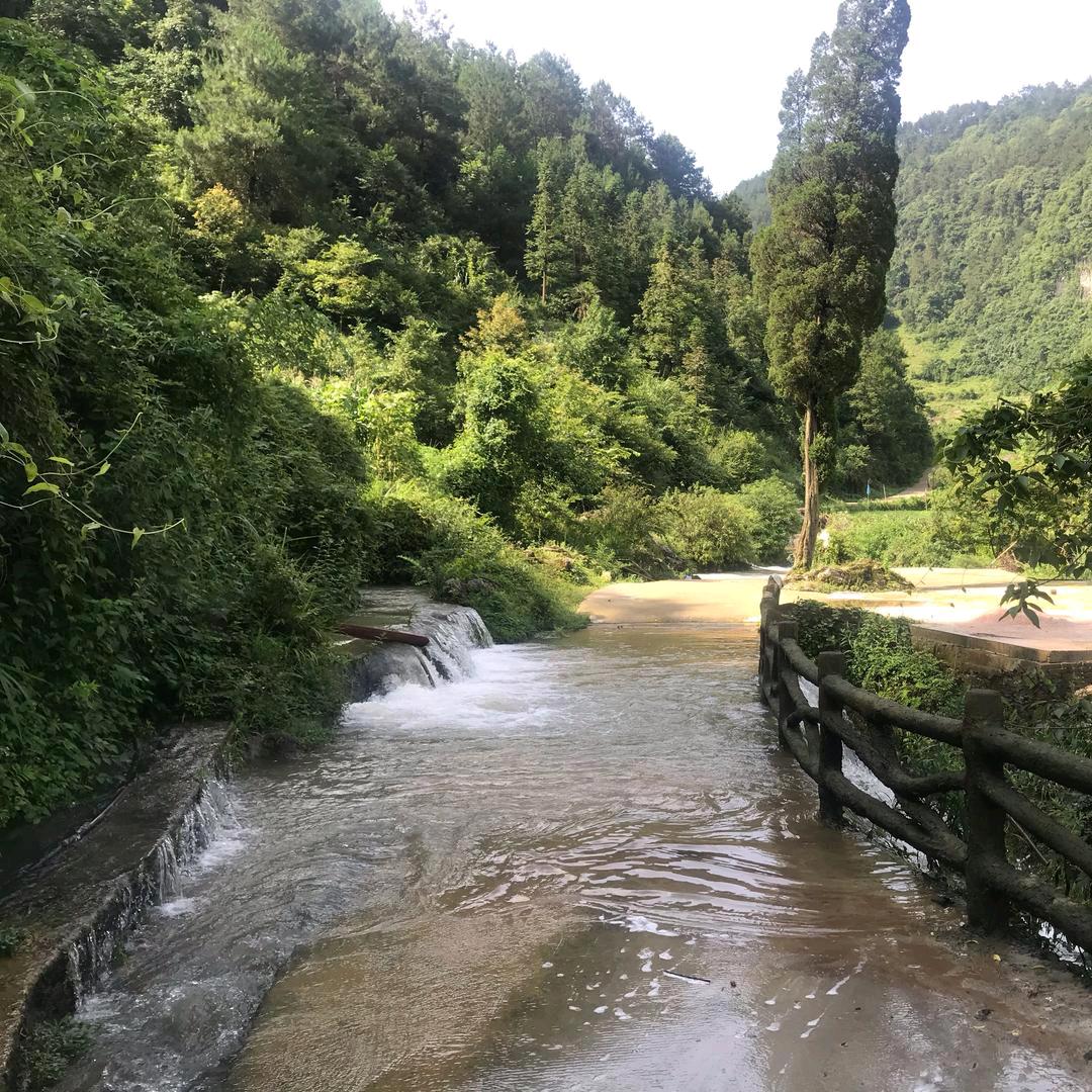 原生态土鸡山羊
