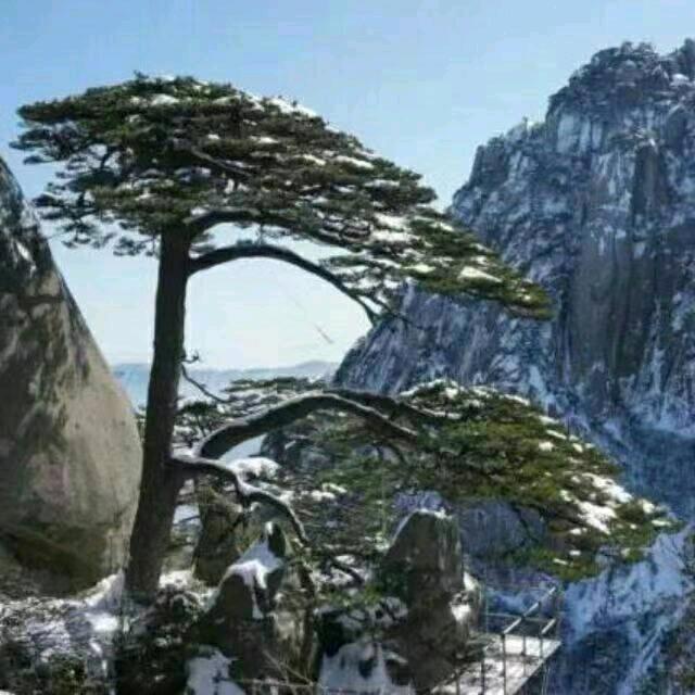 天下第一高