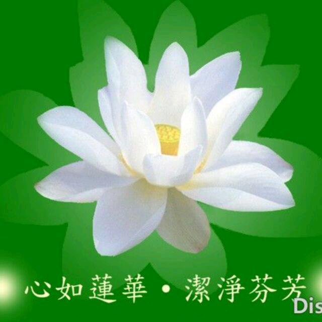 昏鸦