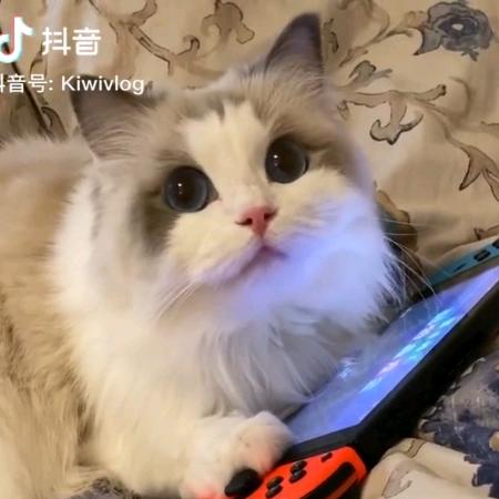 绝不能失去你