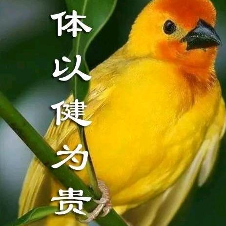平淡的辛