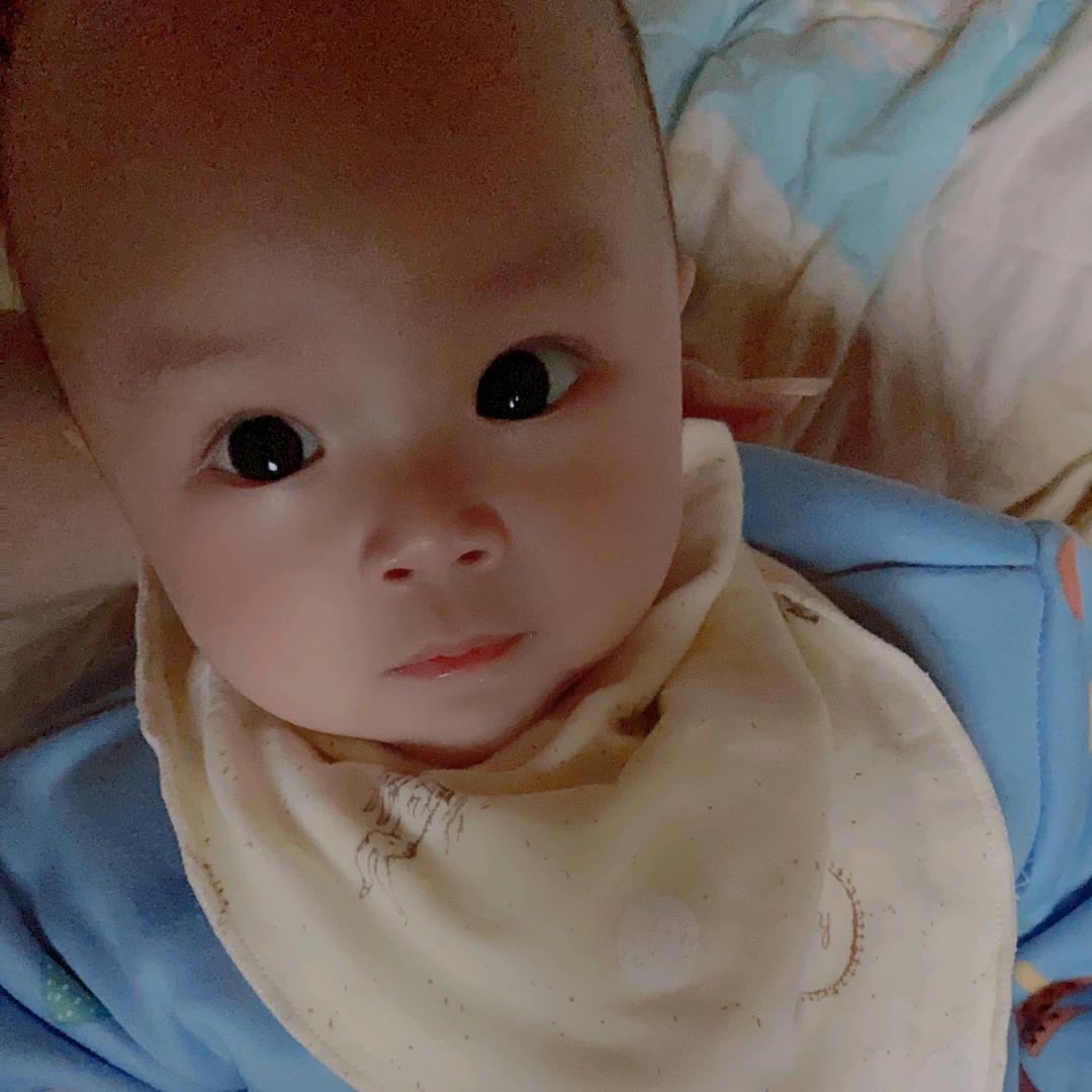 林宝宝
