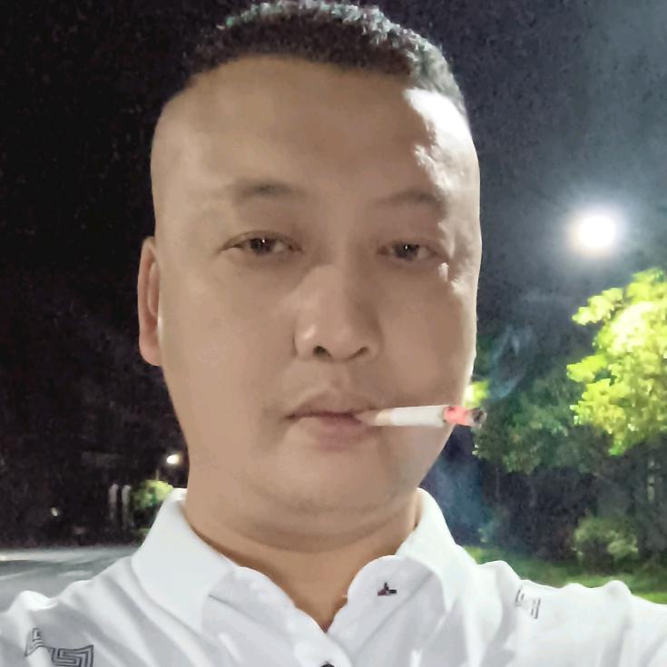 老猫归来