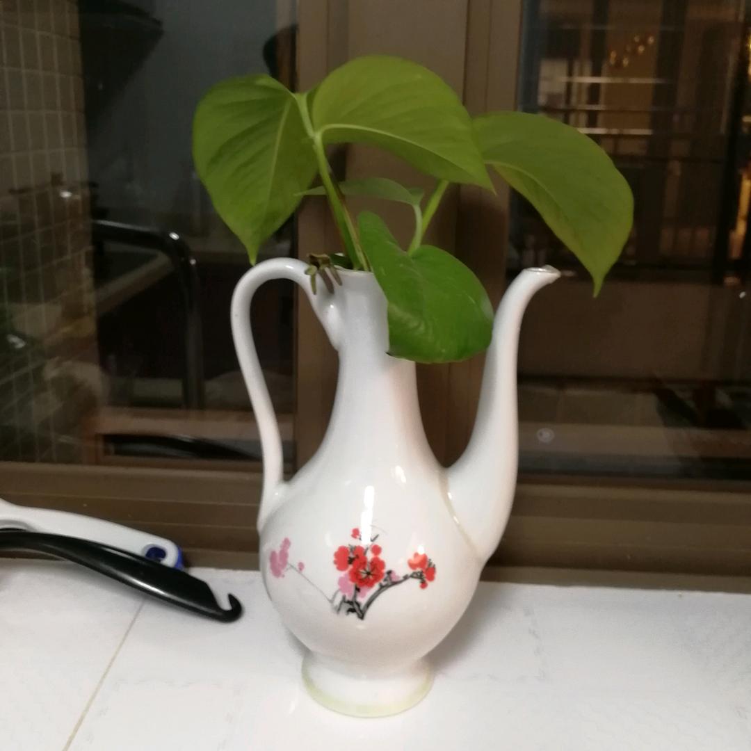 每天坚持微笑的我