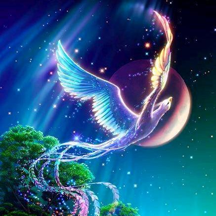 ◎°晴空ゞ万里○。