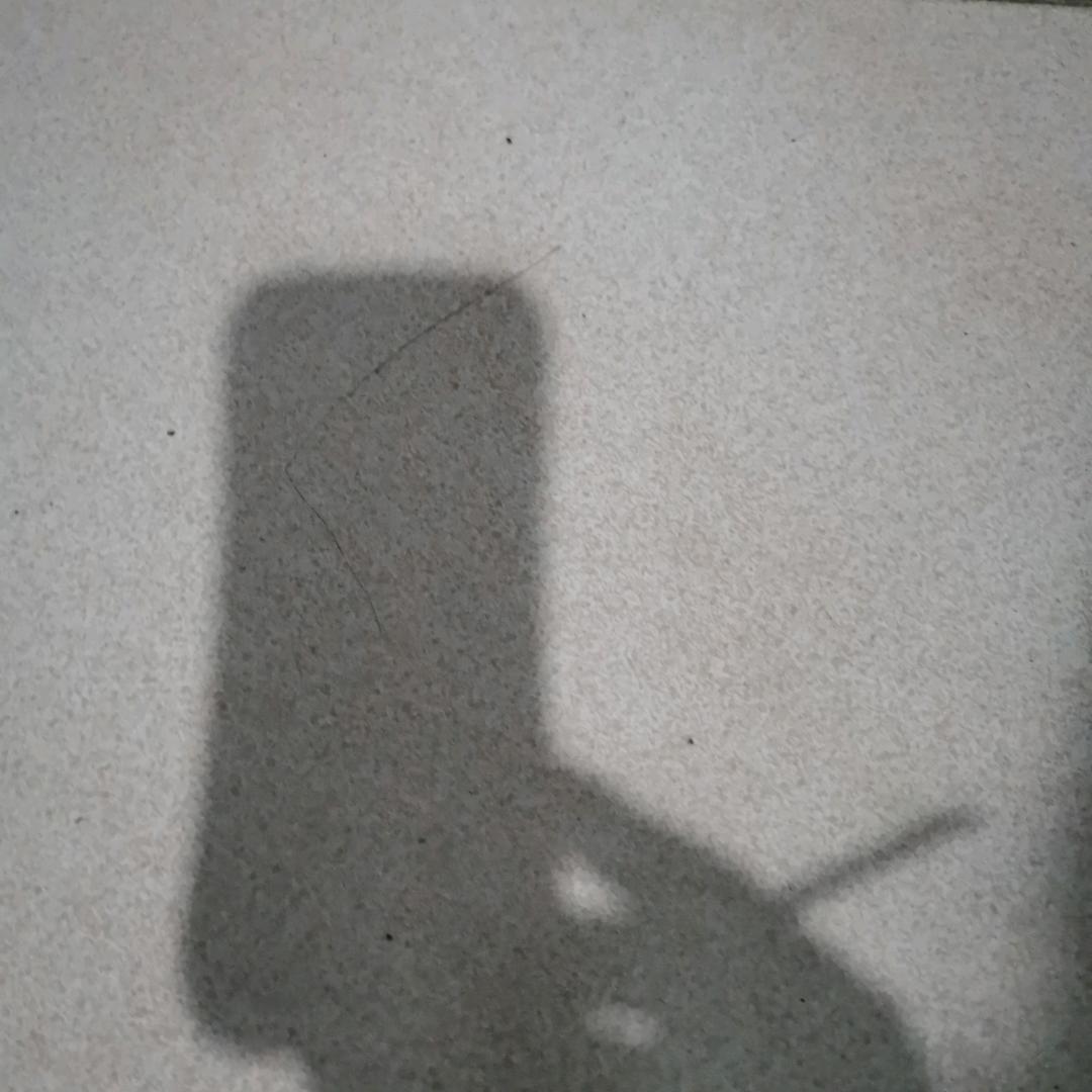 放飞自我