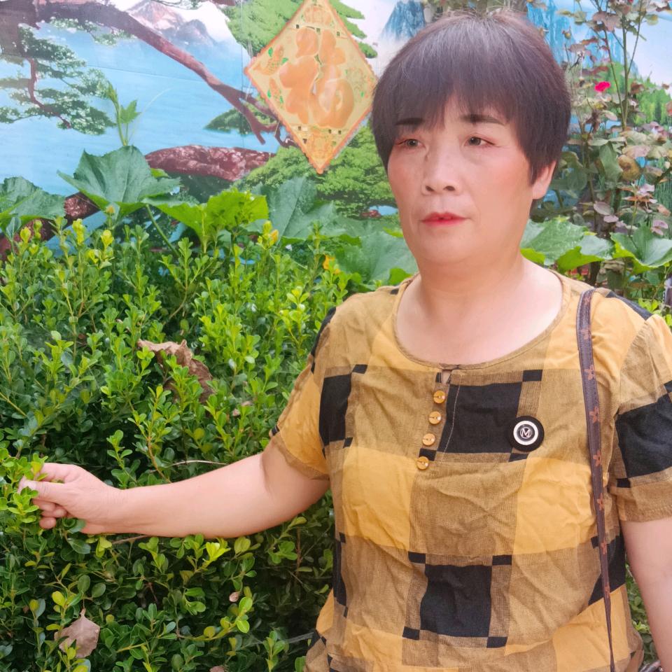 杨秀兰🙂