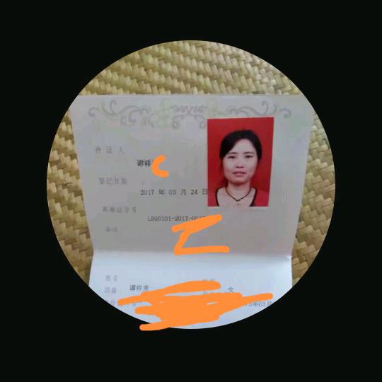 快乐的单身汉