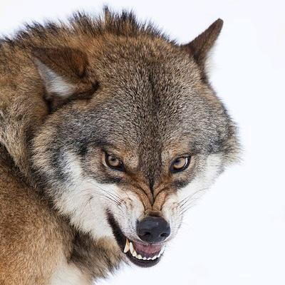 💋👁永福(ง •̀_•́)ง