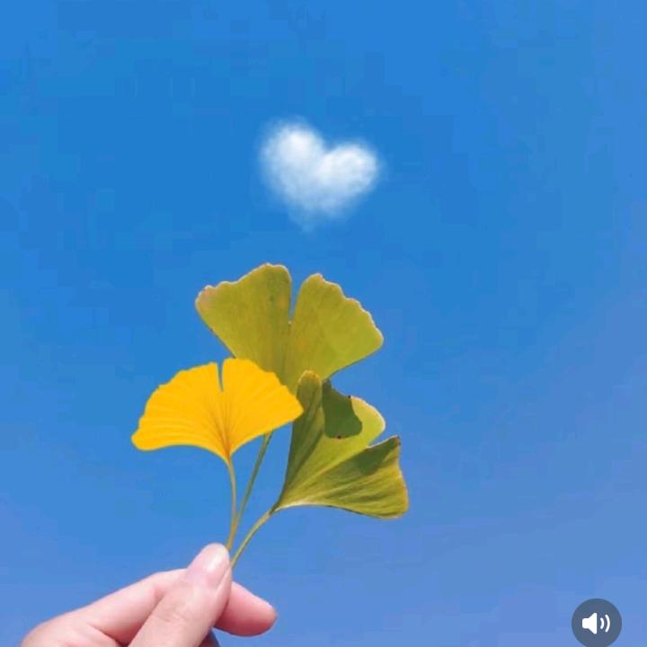 顺风顺水，杨🐮🐮