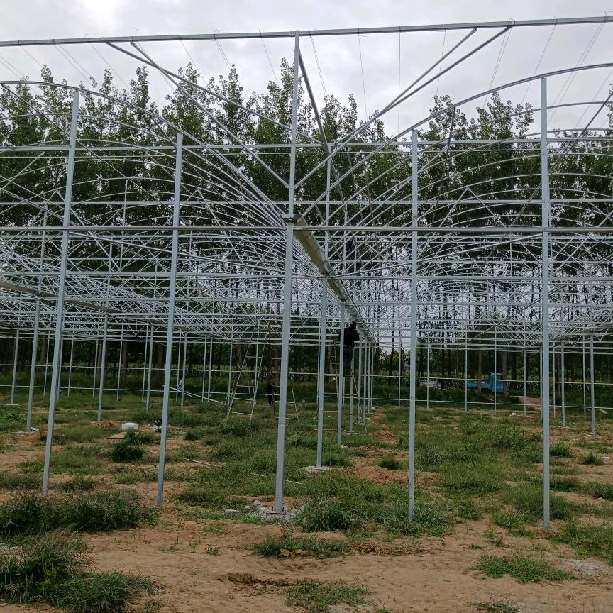 大棚安装队