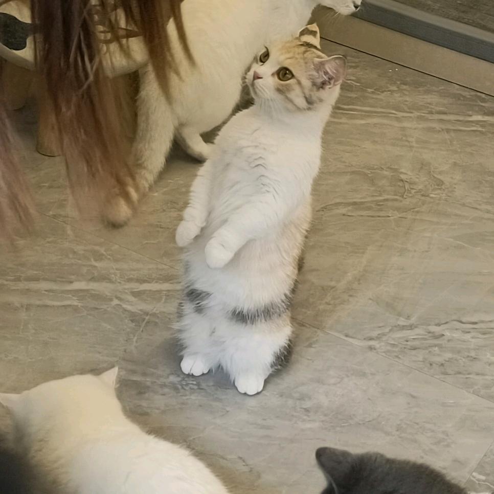 左边☜☜