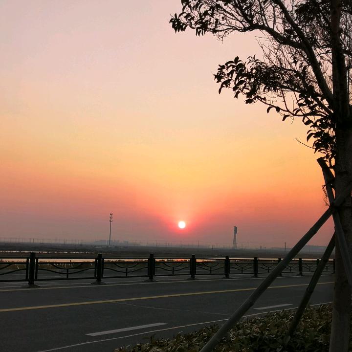夜武涯